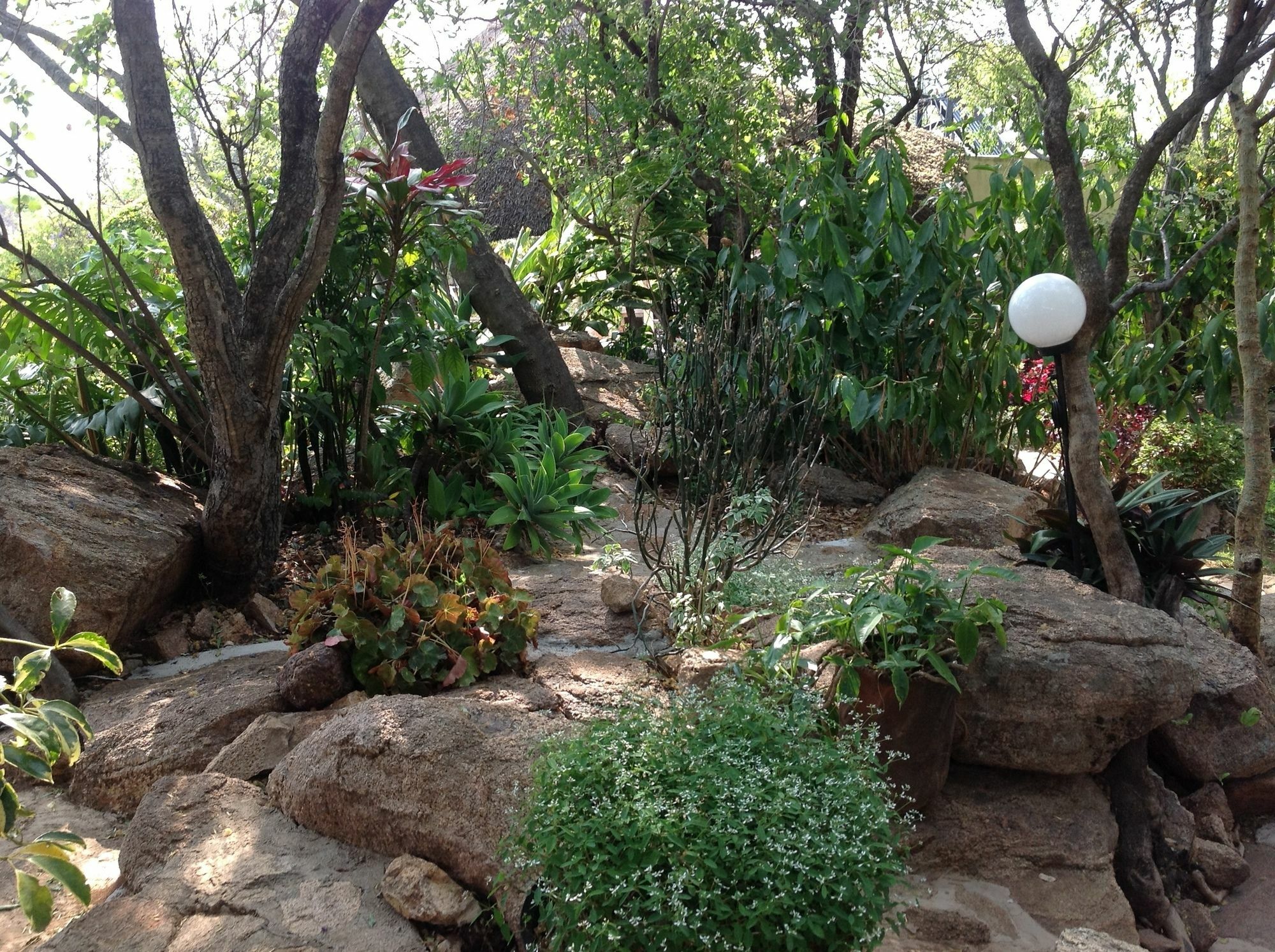 Lynns Guest House Bulawayo Bagian luar foto